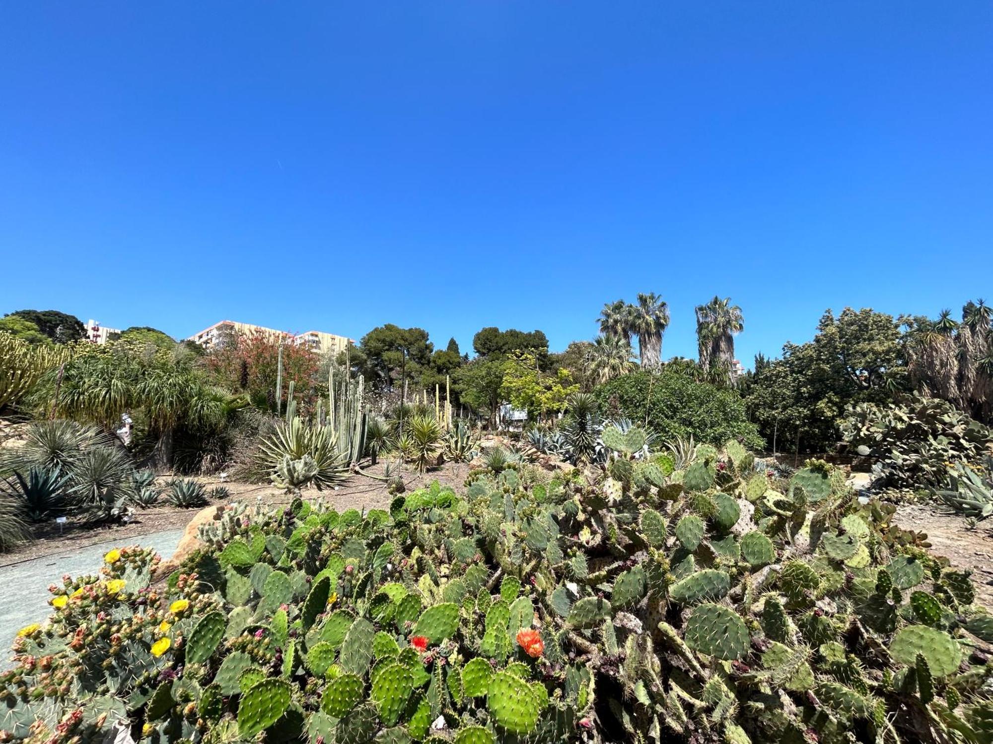 Acogedor Apartamento En Benalmadena Vistas Kültér fotó